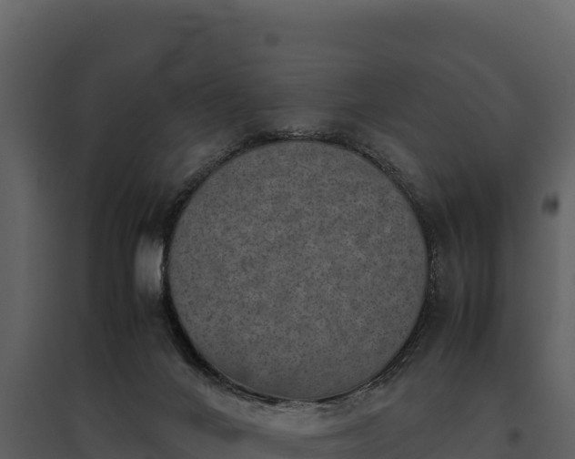 X0000095690024200801151159