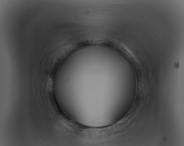 X0000095690025200801151159