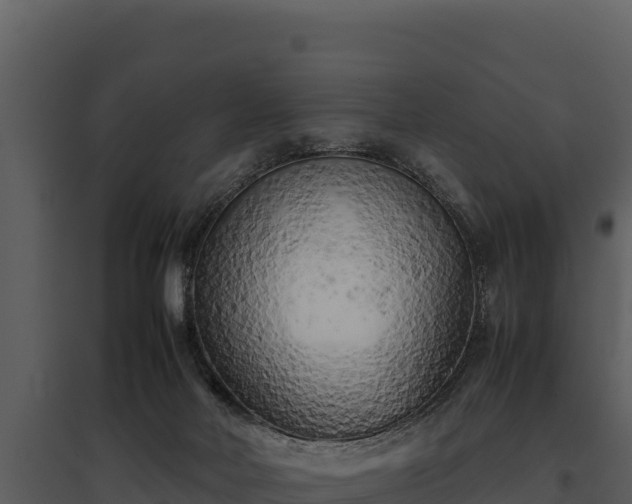 X0000095690026200801151159