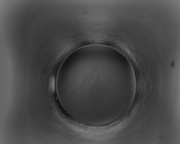 X0000095690027200801151159