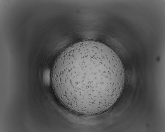 X0000095690028200801151159