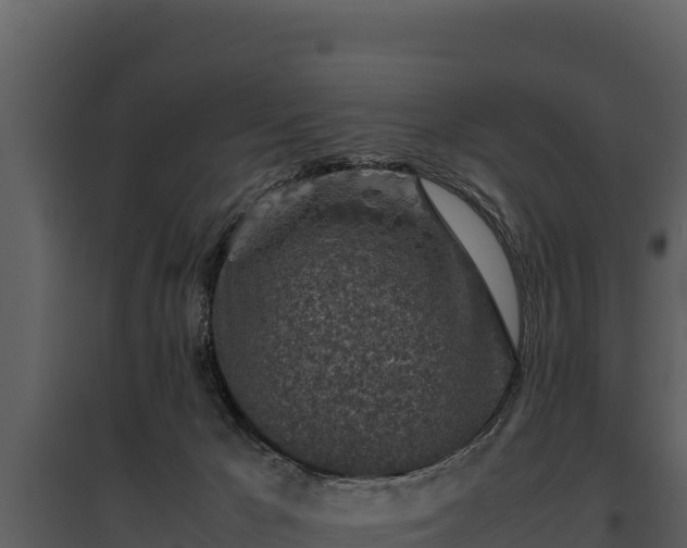 X0000095690029200801151159