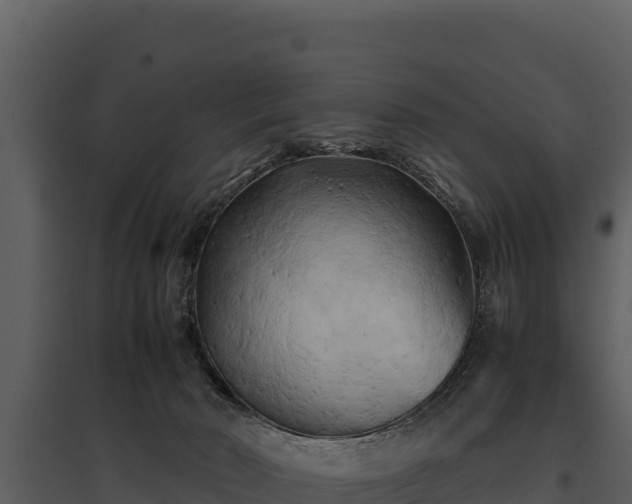 X0000095690030200801151159