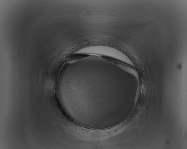 X0000095690031200801151159