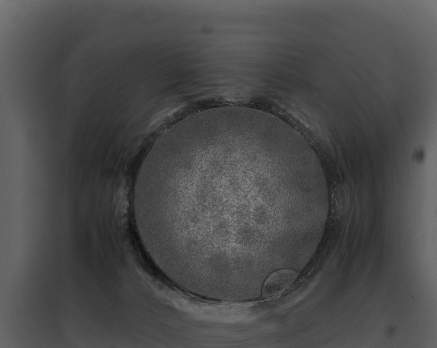 X0000095690032200801151159