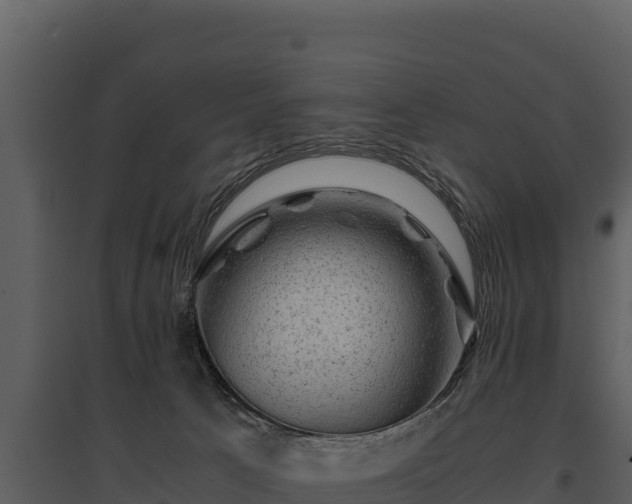 X0000095690033200801151159