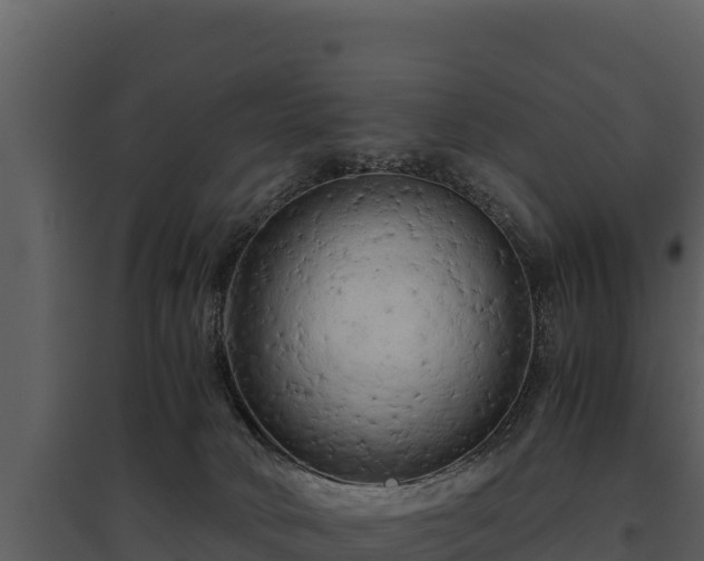 X0000095690034200801151159