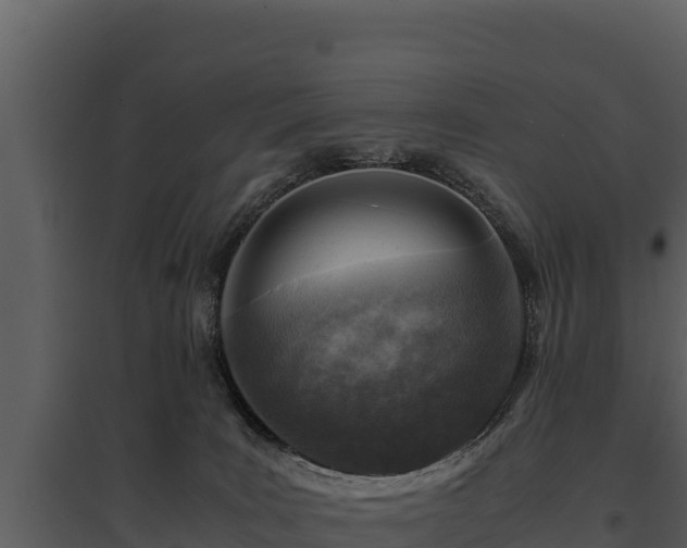 X0000095690035200801151159