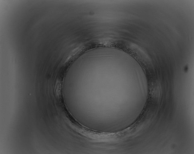 X0000095690036200801151159