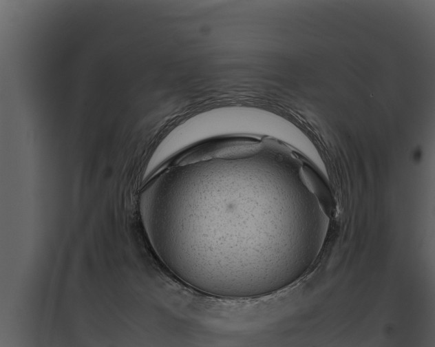 X0000095690037200801151159