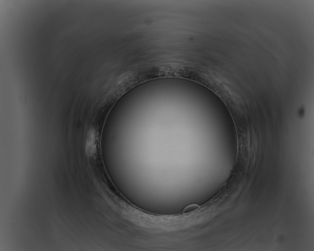 X0000095690038200801151159