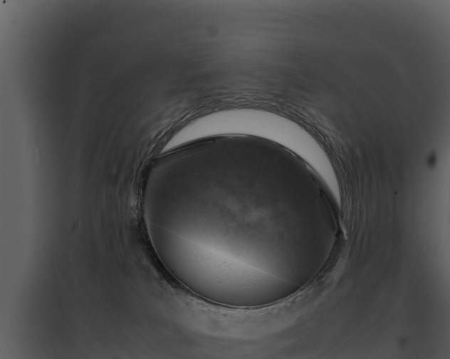 X0000095690039200801151159