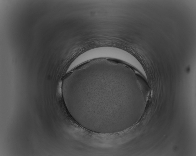 X0000095690041200801151158