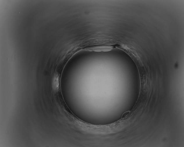 X0000095690042200801151158