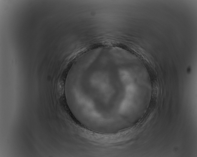 X0000095690043200801151158