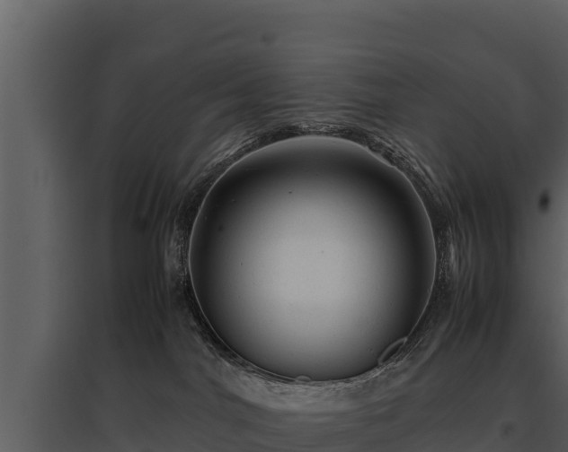 X0000095690044200801151158