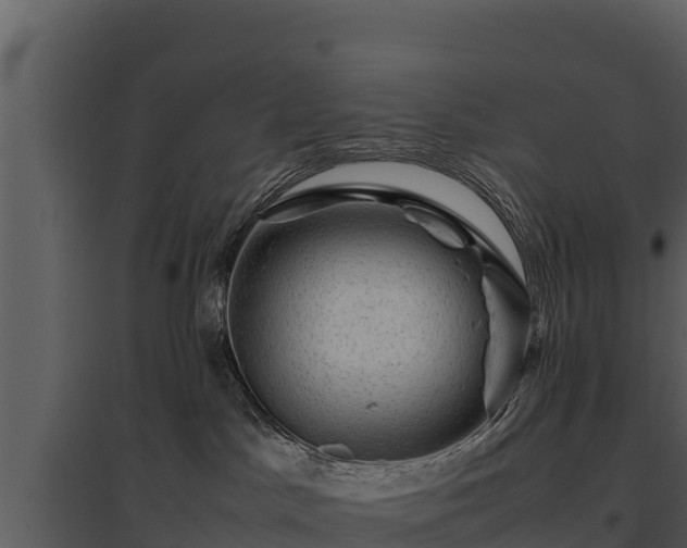 X0000095690045200801151158