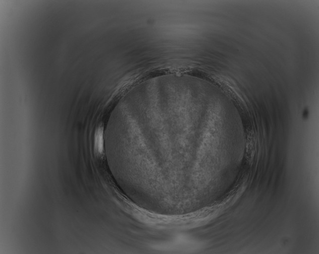 X0000095690046200801151158