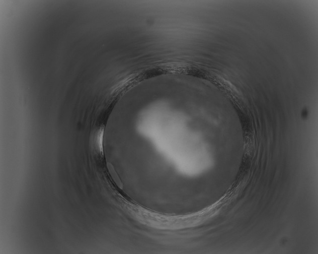 X0000095690047200801151158