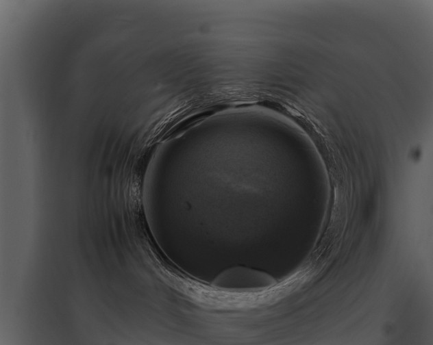 X0000095690048200801151158