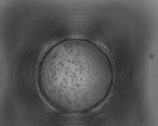 X0000095690049200801151158