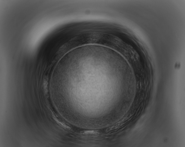 X0000095690050200801151158