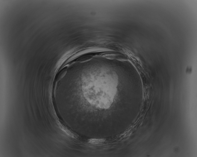 X0000095690051200801151158