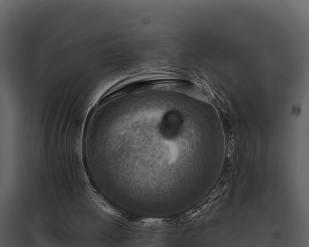 X0000095690052200801151158