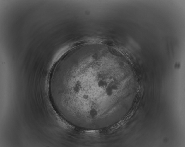 X0000095690053200801151158