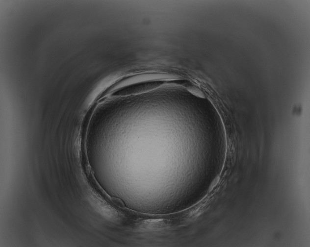 X0000095690054200801151158