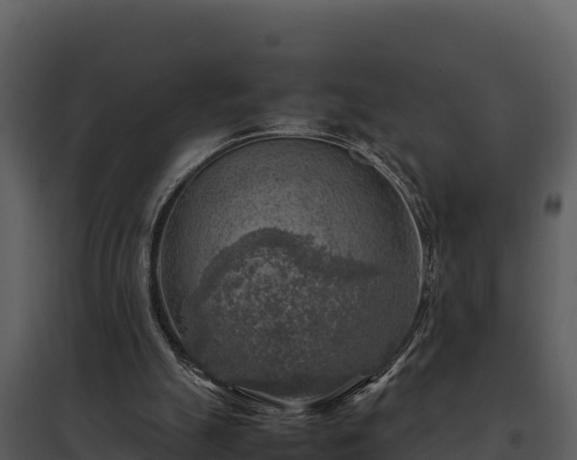 X0000095690055200801151158