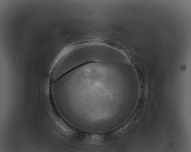 X0000095690056200801151158