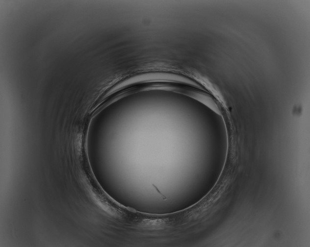 X0000095690057200801151158