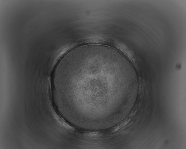 X0000095690058200801151158