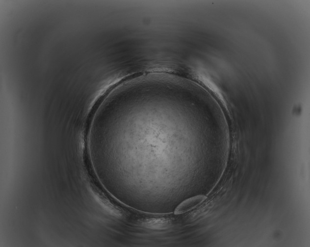 X0000095690059200801151158