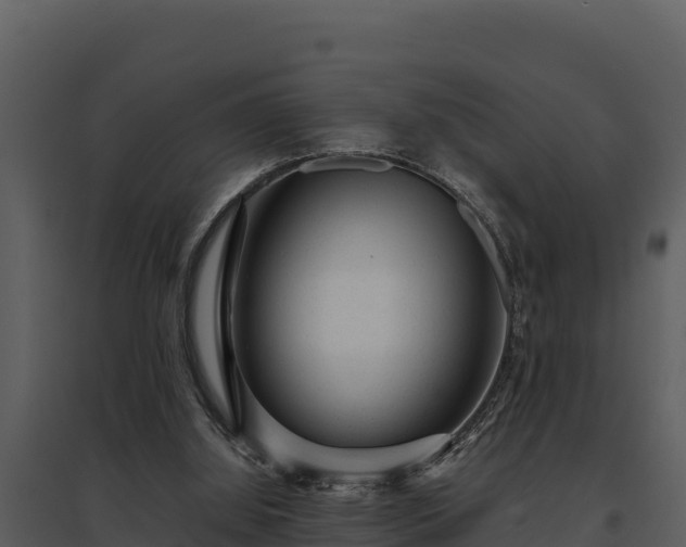 X0000095690060200801151158