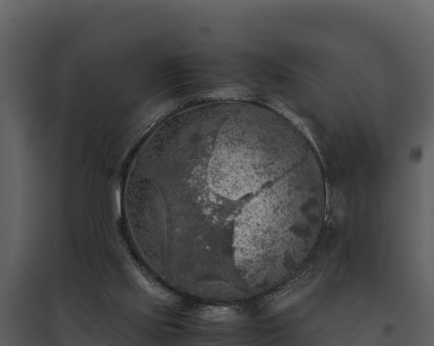 X0000095690061200801151158