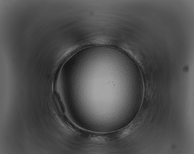 X0000095690062200801151158