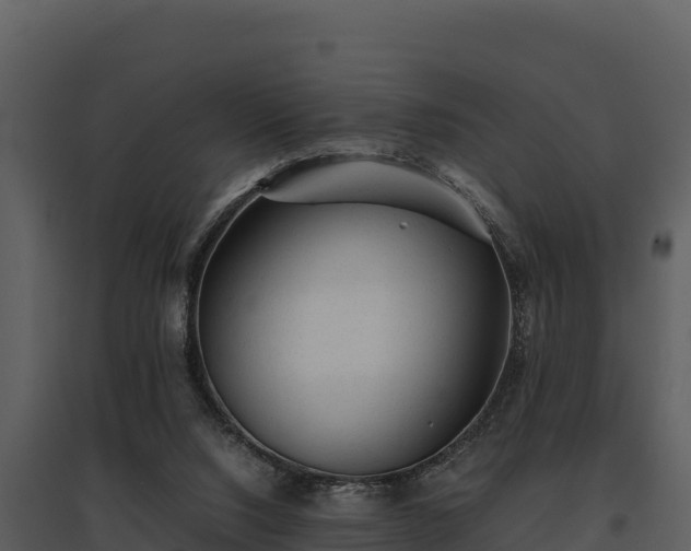 X0000095690064200801151158