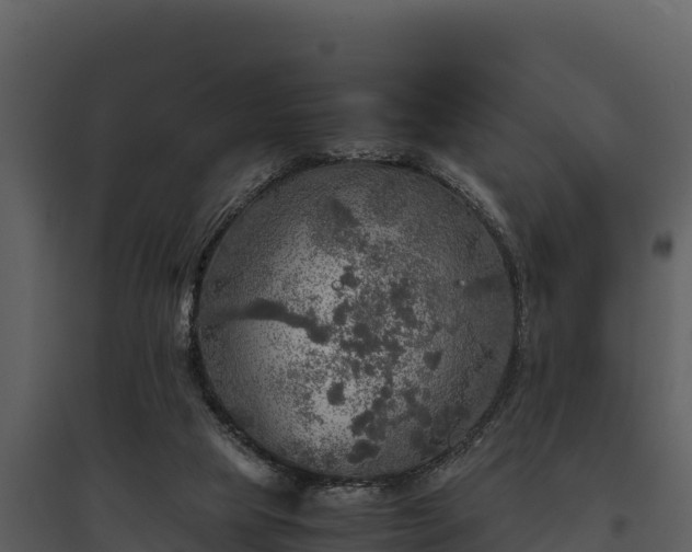 X0000095690065200801151158