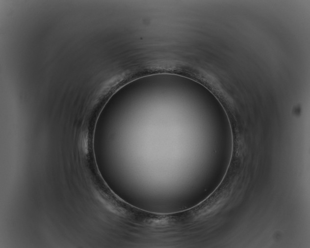 X0000095690068200801151158