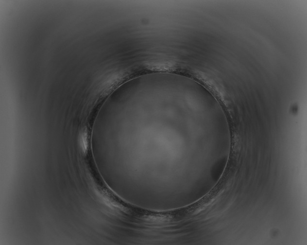 X0000095690069200801151158