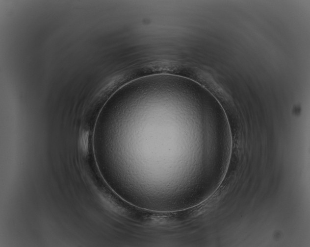 X0000095690070200801151158