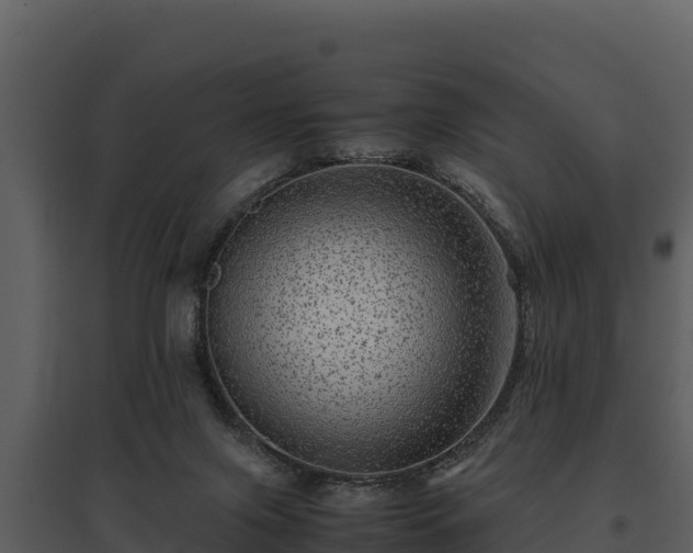 X0000095690071200801151158