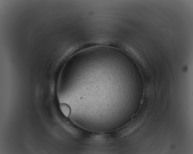 X0000095690072200801151158