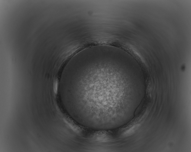 X0000095690076200801151158