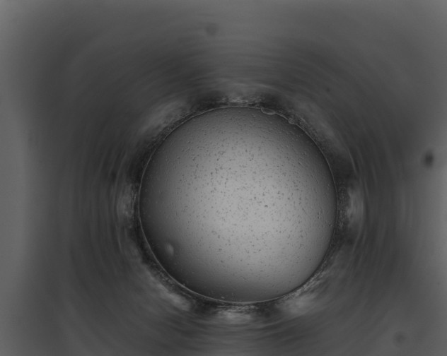 X0000095690078200801151158