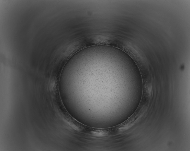 X0000095690079200801151158