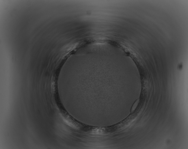 X0000095690080200801151158