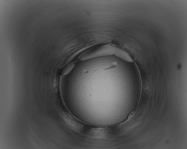 X0000095690082200801151158